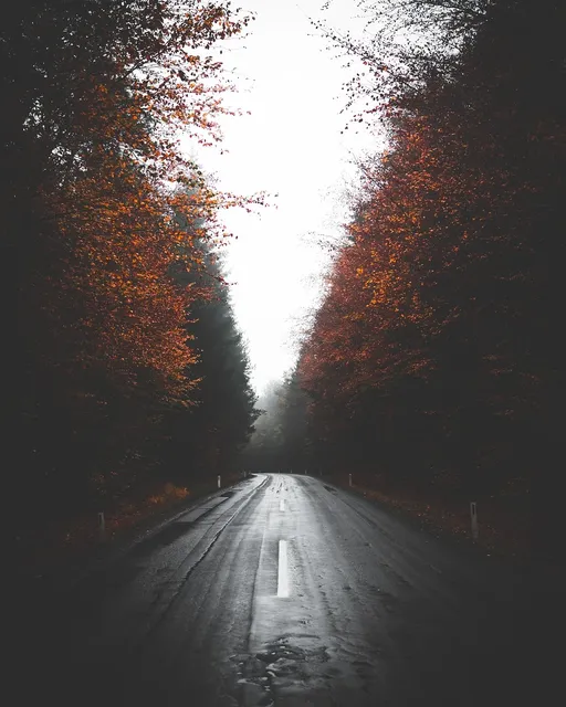 architecture-asphalt-blur-730256