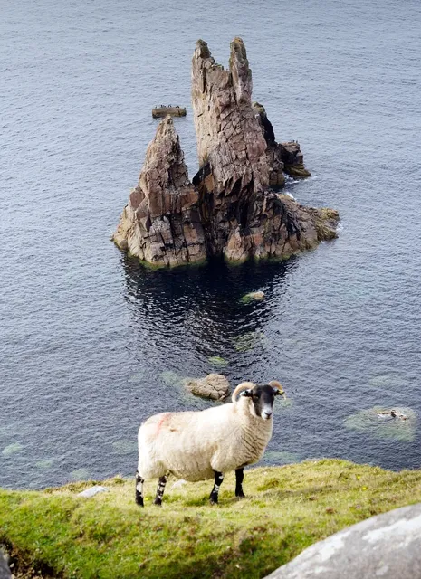 person-standing-on-edge-of-cliff-overlooking-lake-below-2387876