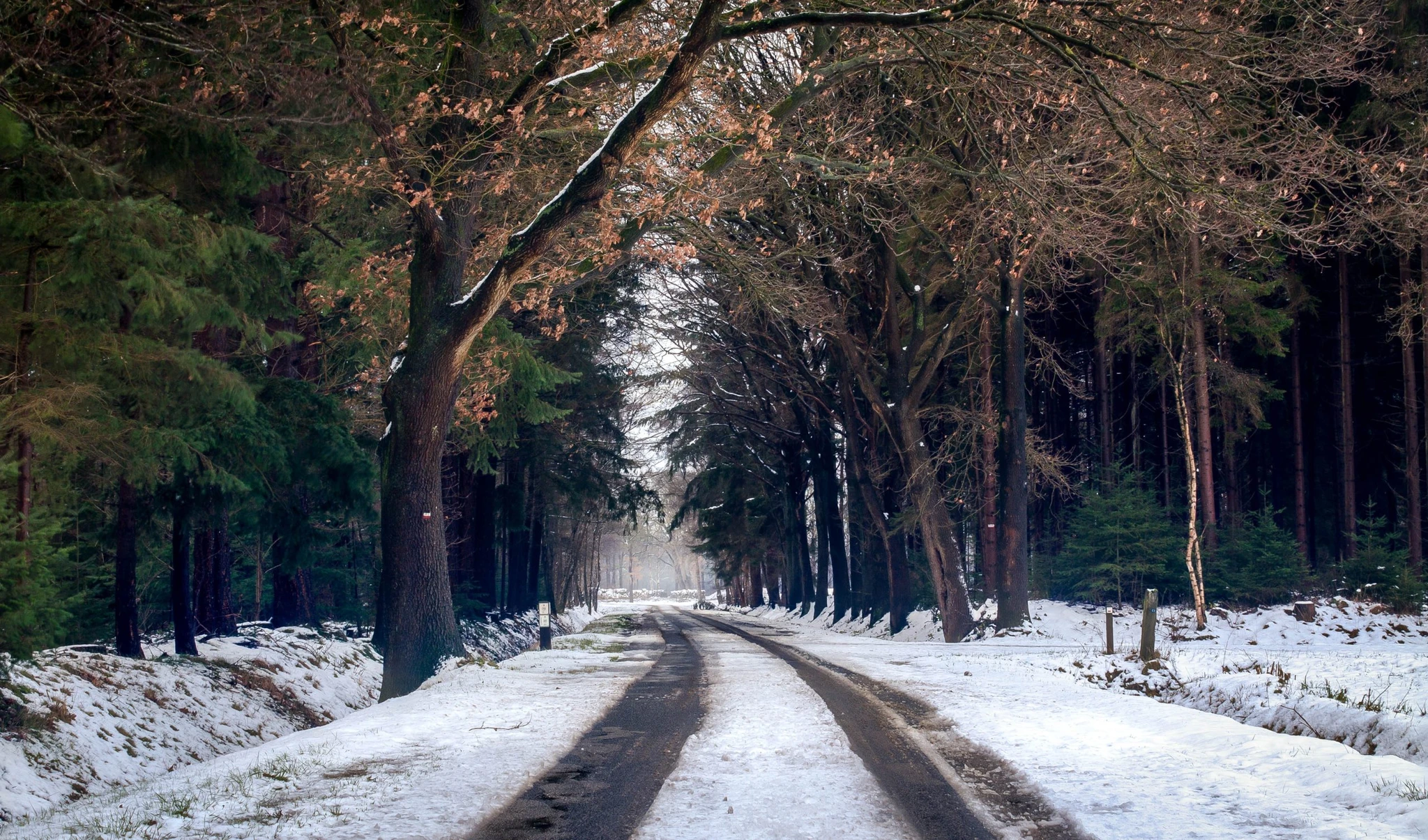 photography-of-road-during-winter-season-760971